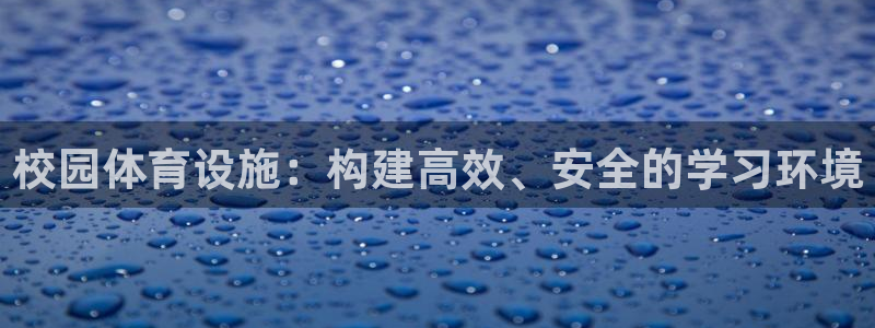 意昂4官方：校园体育设施：构建高效、安全的学习环境