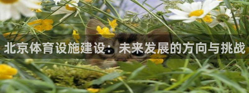 意昂体育4平台是正规平台吗知乎：北京体育设施建设：未