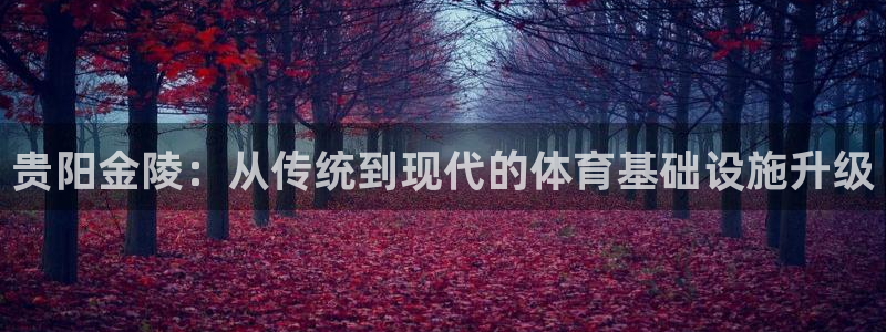 意昂4娱乐平台：贵阳金陵：从传统到现代的体育基础设施升级