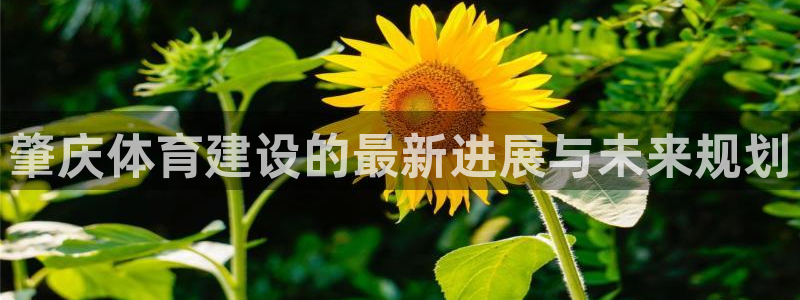 意昂体育4平台假的吗是真的吗吗：肇庆体育建设的最新进展与未来