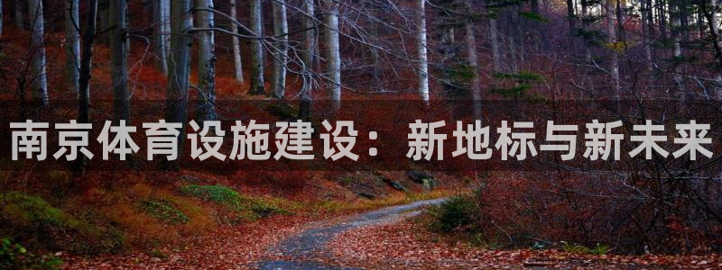 意昂体育4平台注册要钱吗是真的吗：南京体育设施建设：新地标与