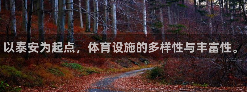 意昂体育4平台注册流程视频：以泰安为起点，体育设施的多样性与