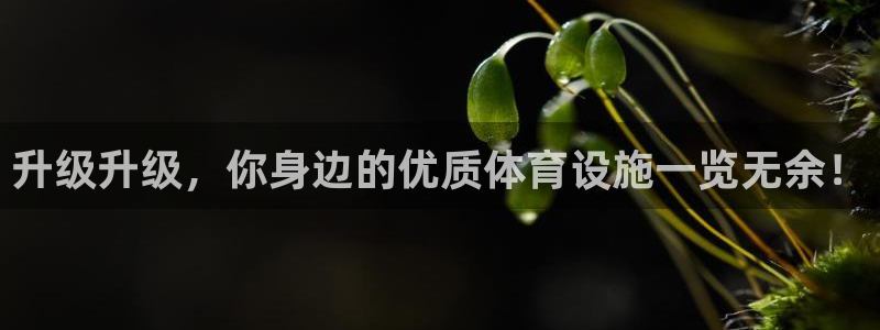 意昂4娱乐下载：升级升级，你身边的优质体育设施一览无余！ 