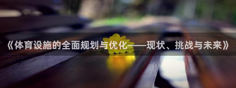 意昂体育4招商：《体育设施的全面规划与优化——现状、