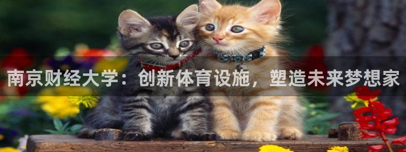 意昂体育4软件：南京财经大学：创新体育设施，塑造未来