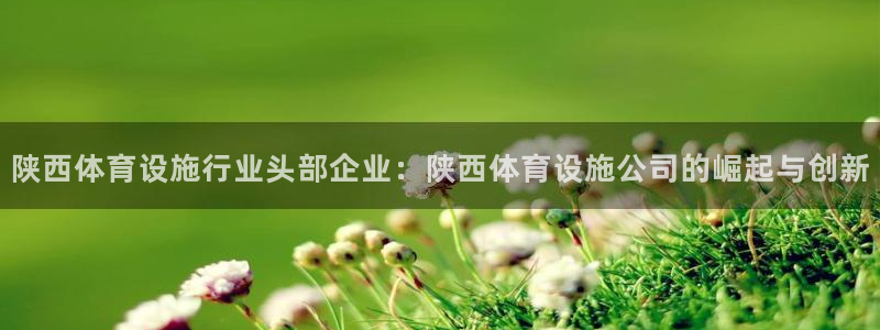 意昂体育4平台注册流程图：陕西体育设施行业头部企业：