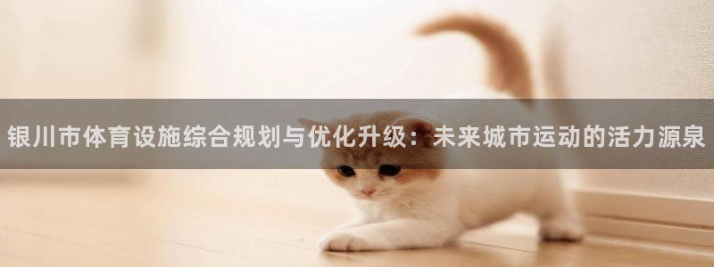 意昂体育4开户：银川市体育设施综合规划与优化升级：未