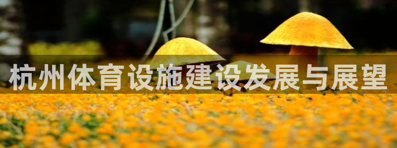 意昂4开户：杭州体育设施建设发展与展望