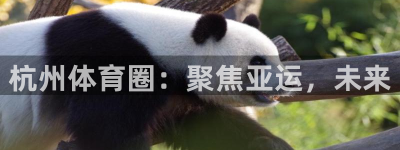 意昂4五金厂：杭州体育圈：聚焦亚运，未来