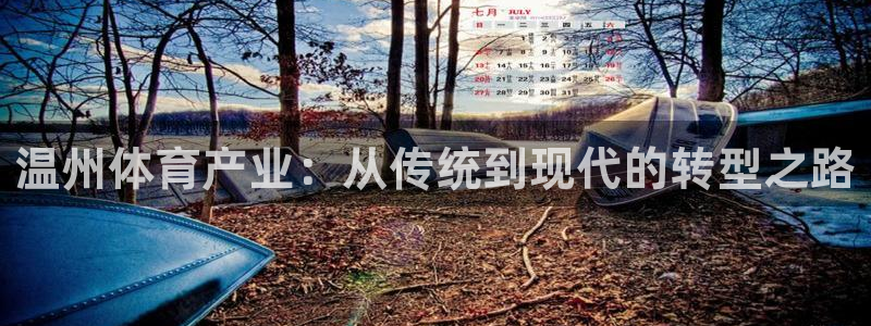 意昂体育4是干嘛的公司：温州体育产业：从传统到现代的