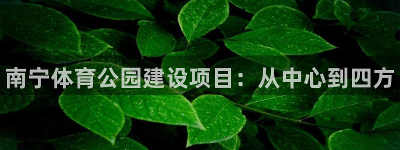 意昂体育4平台注册流程图：南宁体育公园建设项目：从中心到四方 