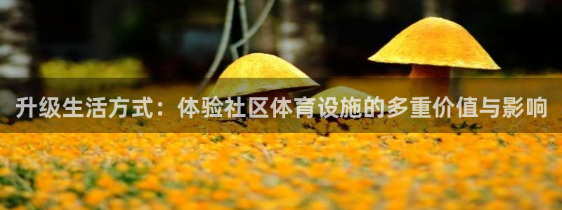 意昂4娱乐平台：升级生活方式：体验社区体育设施的多重价值与影