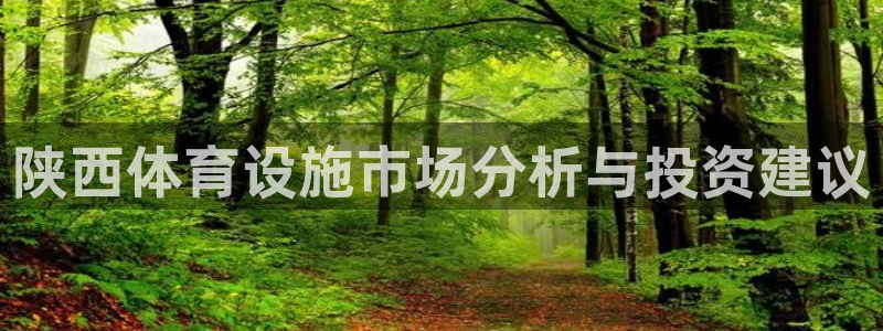 意昂体育4招商电话：陕西体育设施市场分析与投资建议
