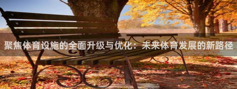 意昂4官方：聚焦体育设施的全面升级与优化：未来体育发展的新路