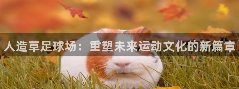 意昂4五金厂：人造草足球场：重塑未来运动文化的新篇章 