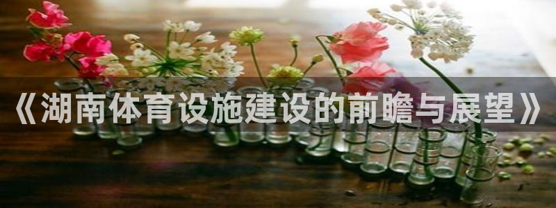 注册意昂4：《湖南体育设施建设的前瞻与展望》