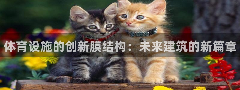 意昂体育4招商电话地址查询：体育设施的创新膜结构：未