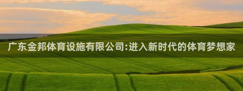 意昂体育4平台假的吗是真的吗：广东金邦体育设施有限公
