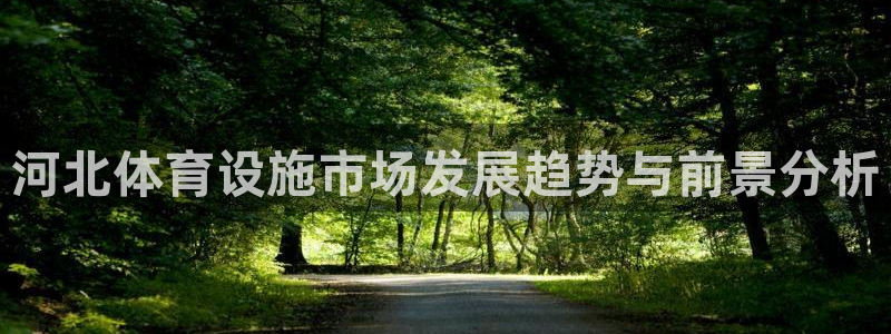 意昂体育4是干嘛的公司：河北体育设施市场发展趋势与前