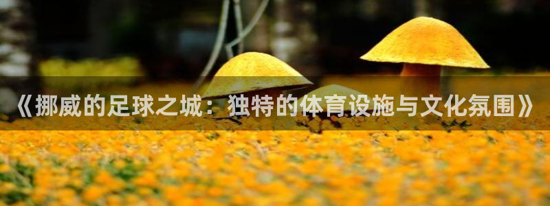 意昂体育4招商电话号码查询是多少：《挪威的足球之城：