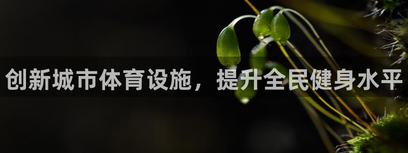 意昂体育4平台假的吗是真的吗吗：创新城市体育设施，提