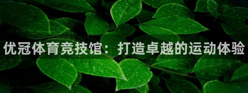 意昂平台体育：优冠体育竞技馆：打造卓越的运动体验