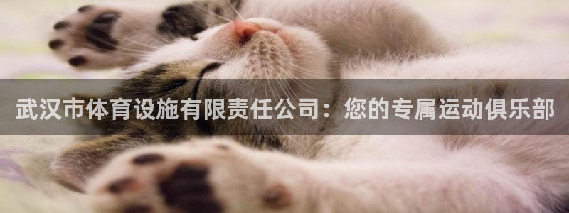 意昂4娱乐首页官网下载：武汉市体育设施有限责任公司：