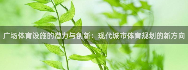 意昂体育4娱乐：广场体育设施的潜力与创新：现代城市体
