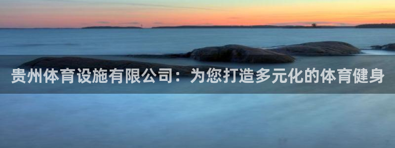 意昂体育4：贵州体育设施有限公司：为您打造多元化的体