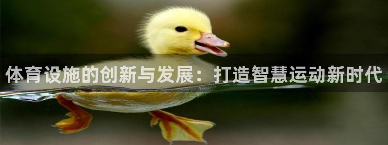 意昂体育4招商：体育设施的创新与发展：打造智慧运动新