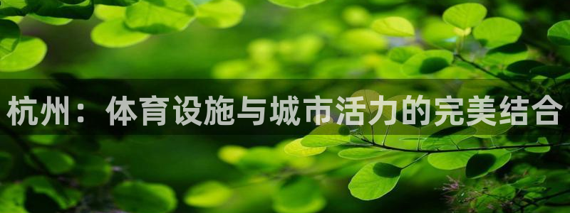 意昂体育4是干嘛的公司：杭州：体育设施与城市活力的完