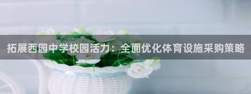 意昂体育4平台是正规平台吗