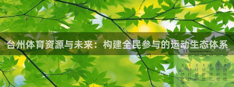 意昂体育4平台是正规平台吗安全吗：台州体育资源与未来