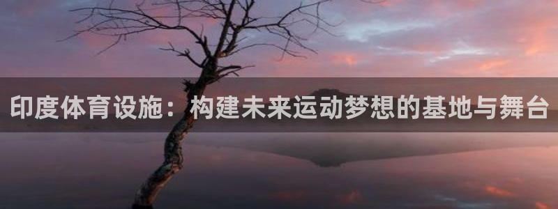 意昂4娱乐40996：印度体育设施：构建未来运动梦想的基地与