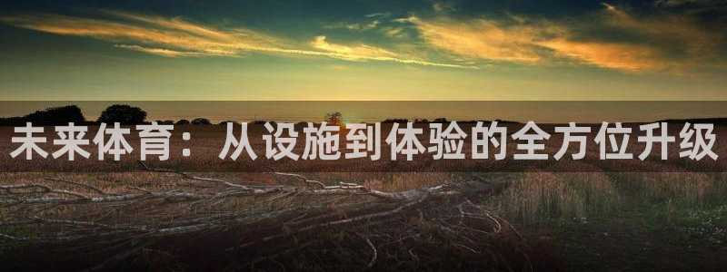 意昂4集团官网网址：未来体育：从设施到体验的全方位升级 