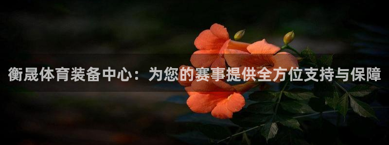 意昂体育4开户：衡晟体育装备中心：为您的赛事提供全方位支持与